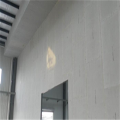 众建宁波ALC板|EPS加气板隔墙与混凝土整浇联接的实验研讨